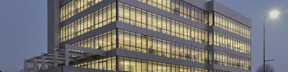 Amplifon_websim1 Amplifon_websim1