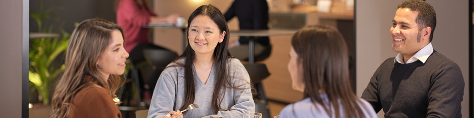 Amplifon_websim15 Amplifon_websim15