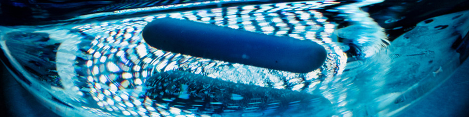 Diasorin_websim5 Diasorin_websim5