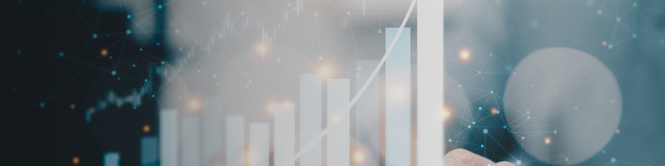 finanza_websim_6 finanza_websim_6