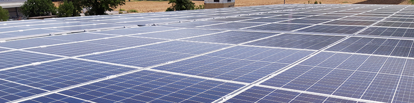 A2a_websim3 A2a_websim3