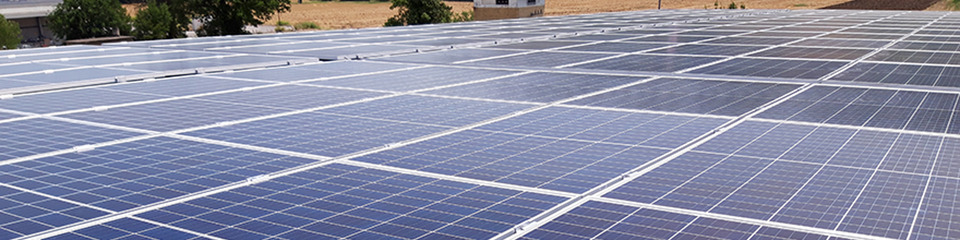 A2a_websim3 A2a_websim3