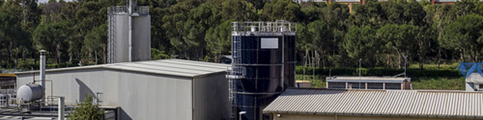 Acea_websim6 Acea_websim6