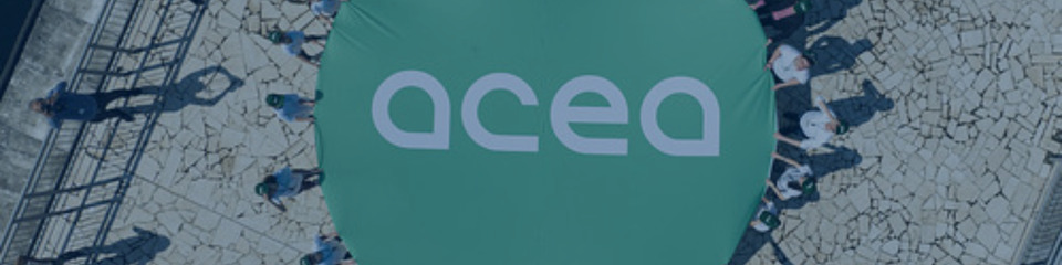 Acea_websim9