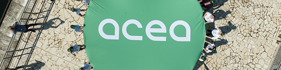 Acea_websim9