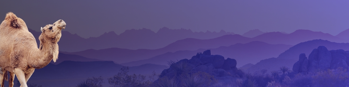 Anteprima articolo_Bond Goldman Sachs