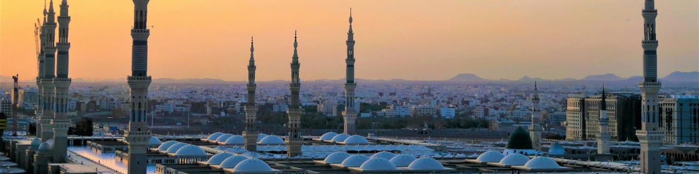 Arabia saudita_websim1