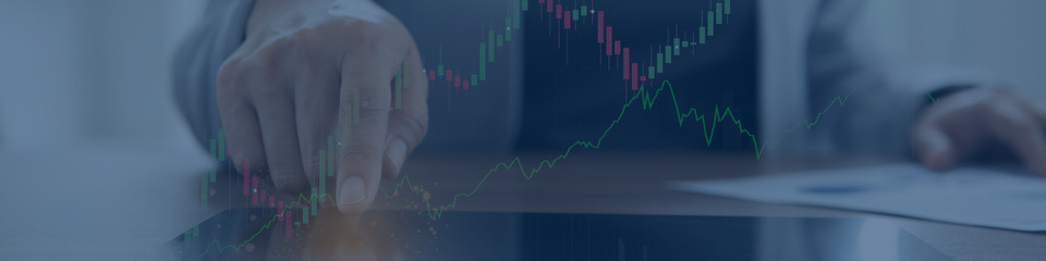 Asset allocation_websim3