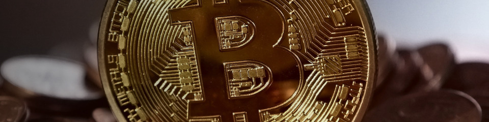 Bitcoin La Rivoluzione Monetaria Digitale1_websim