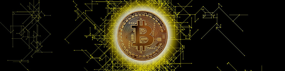 bitcoin_websim_9 bitcoin_websim_9
