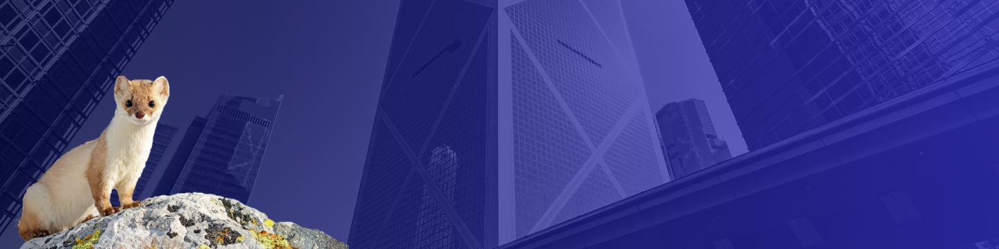 Bond Societe Generale copertina articolo Bond Societe Generale copertina articolo