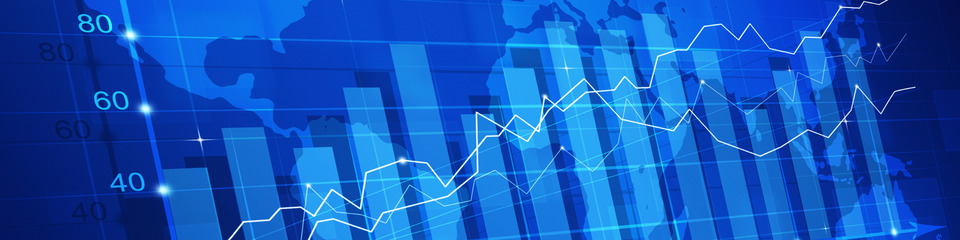 Borsa_websim11 Borsa_websim11