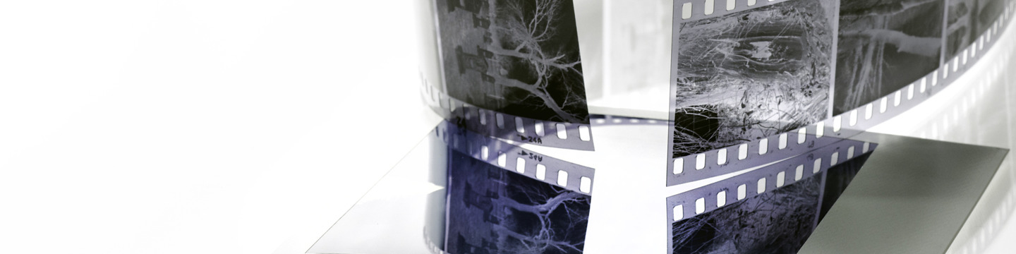 Comunicazione_websim