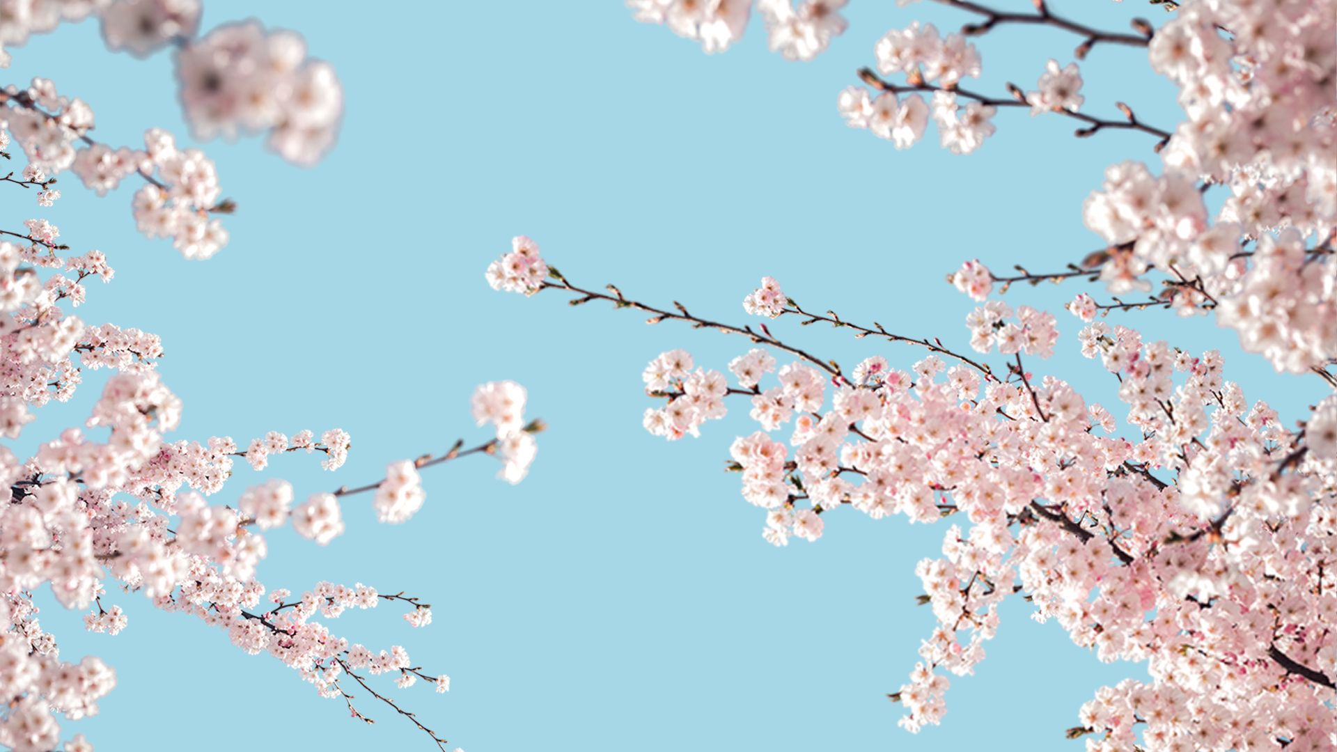 copertina articolo bond socgen 1920x1080 copertina articolo bond socgen 1920x1080