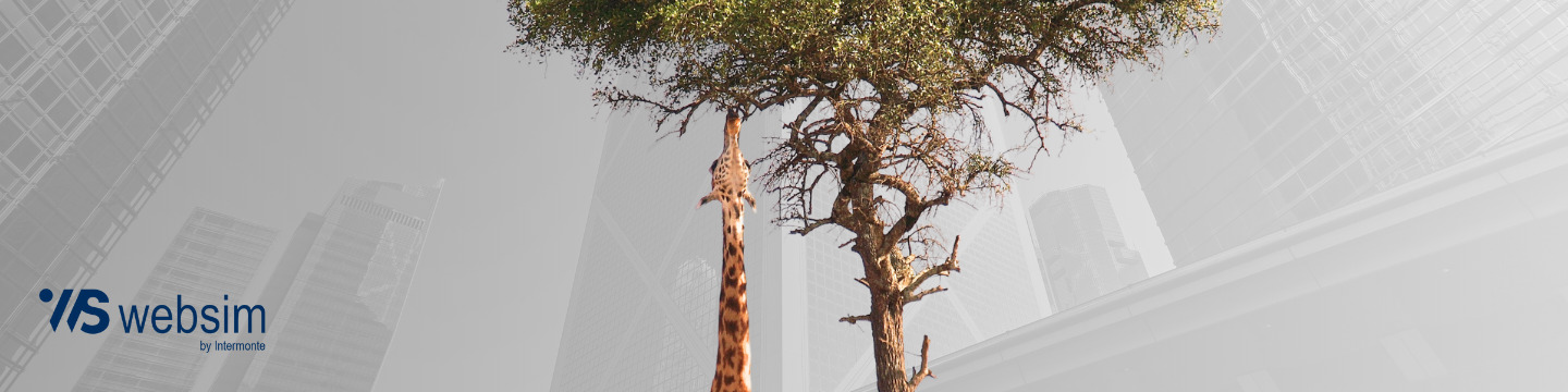 Copertina articolo bond SocGen