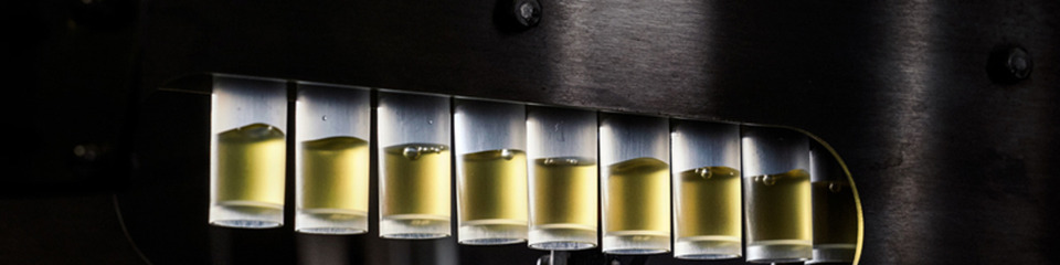 Diasorin_websim9 Diasorin_websim9