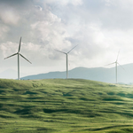 diversificazione certificato