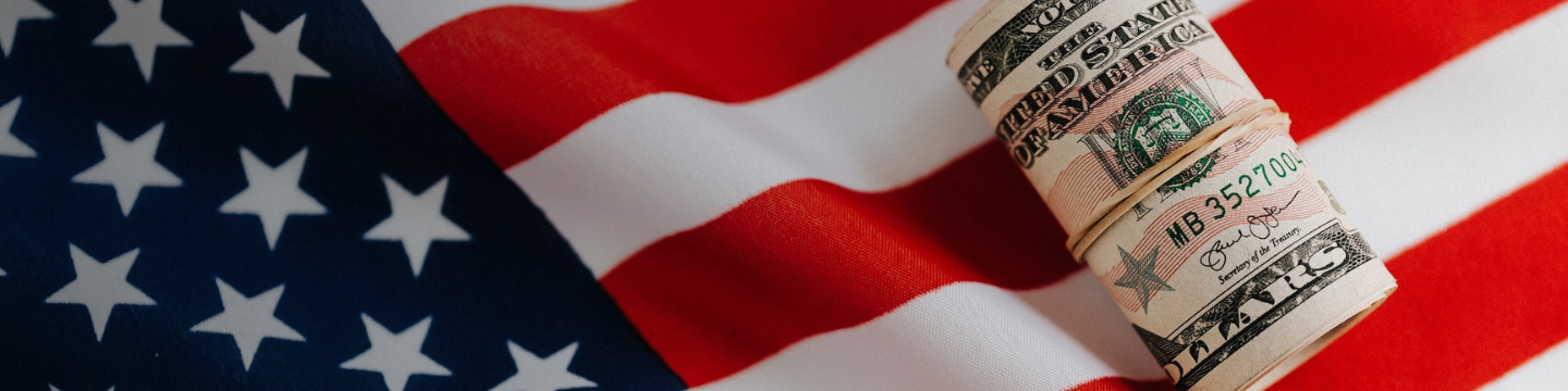 dollaro_websim_10 dollaro_websim_10