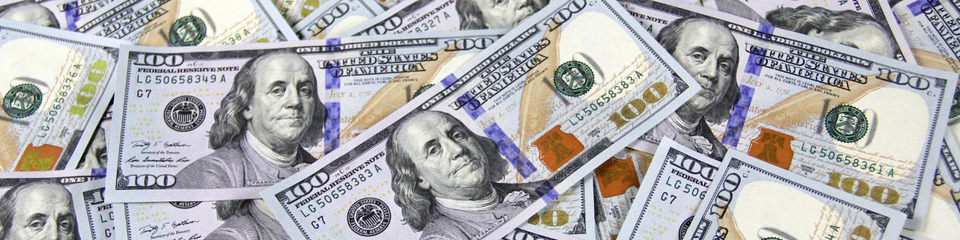 dollaro_websim_2 dollaro_websim_2