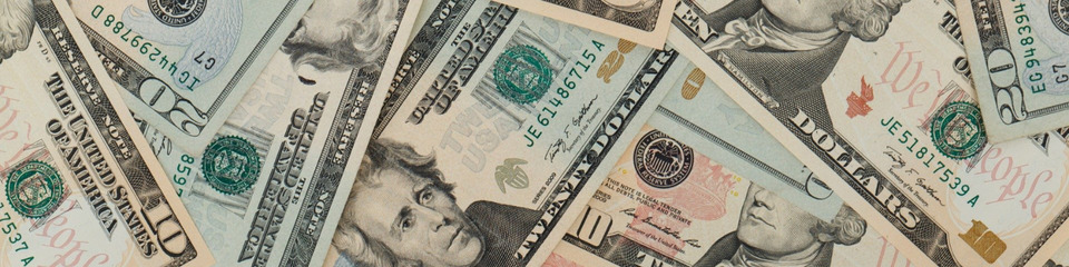 dollaro_websim_4 dollaro_websim_4