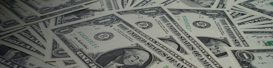 dollaro_websim_7 dollaro_websim_7