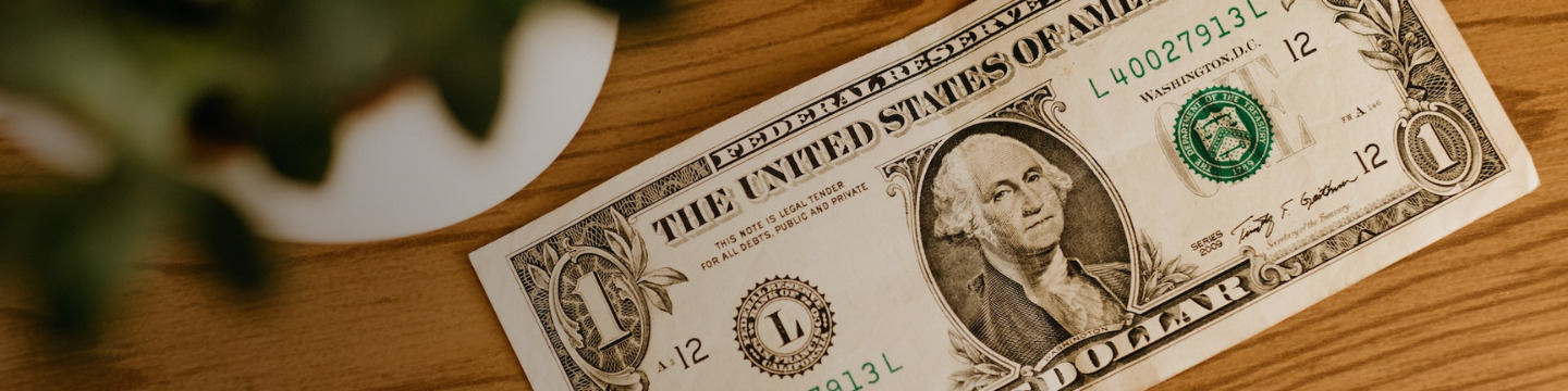 dollaro_websim_9 dollaro_websim_9