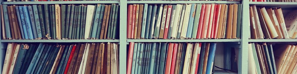 Editoria_websim3 Editoria_websim3