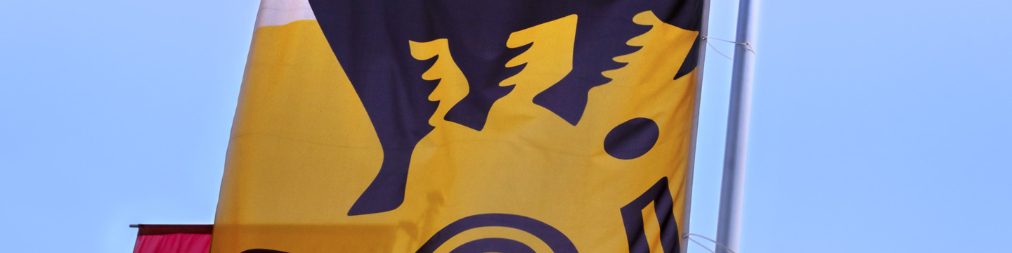 Eni_websim7 Eni_websim7