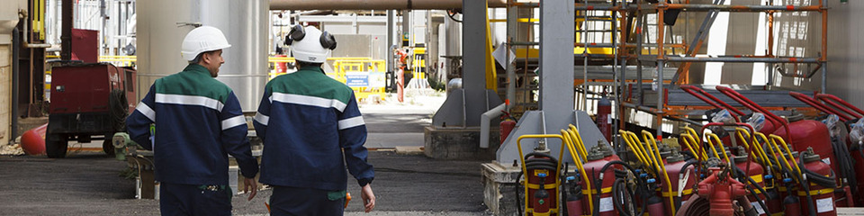 Erg_websim8 Erg_websim8