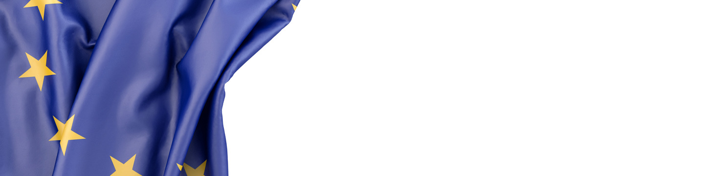 Europa_websim10 Europa_websim10