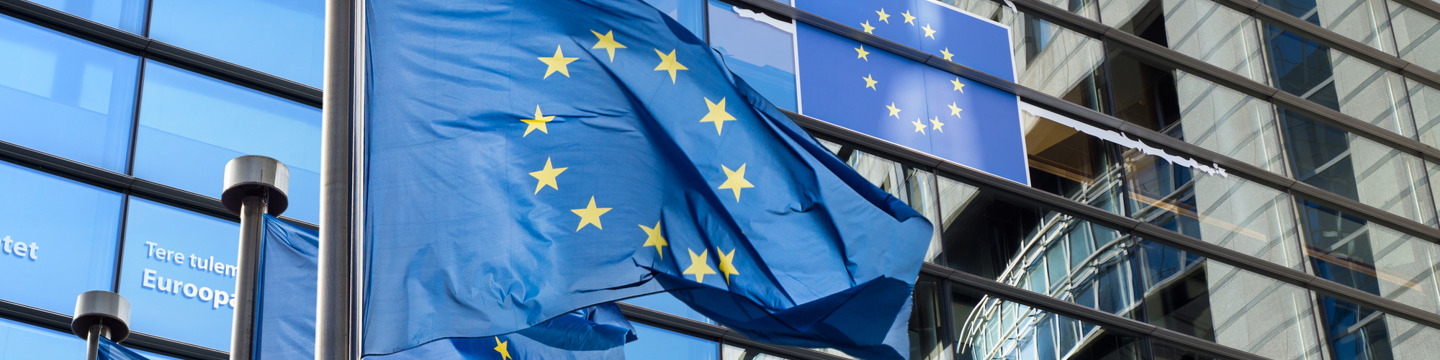 Europa_websim18 Europa_websim18