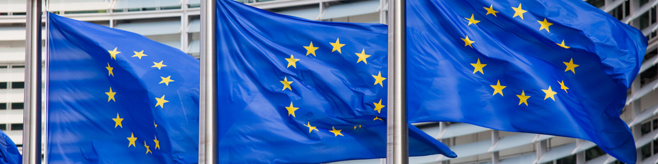 Europa_websim25 Europa_websim25