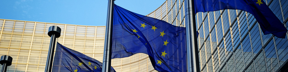 Europa_websim29 Europa_websim29