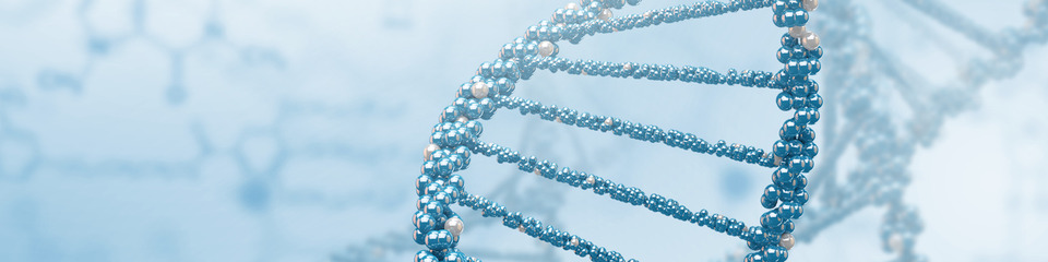 farmaceutico_websim_1