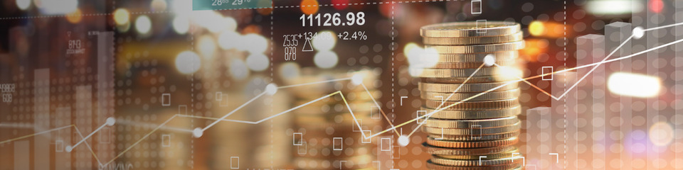 finanza_websim_10 finanza_websim_10