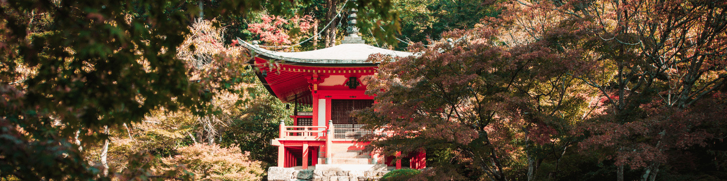 Giappone_websim3 Giappone_websim3