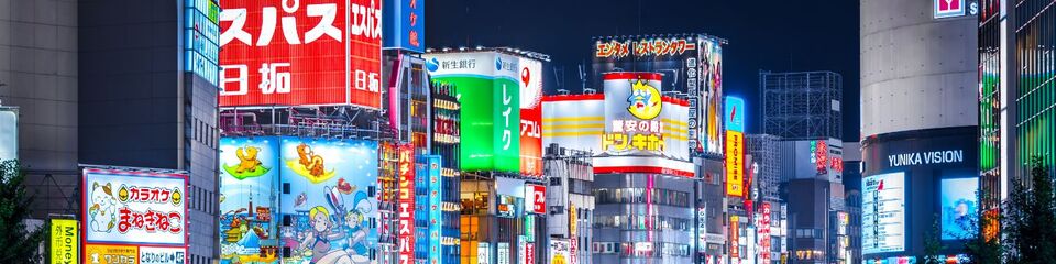 Giappone_websim5 Giappone_websim5