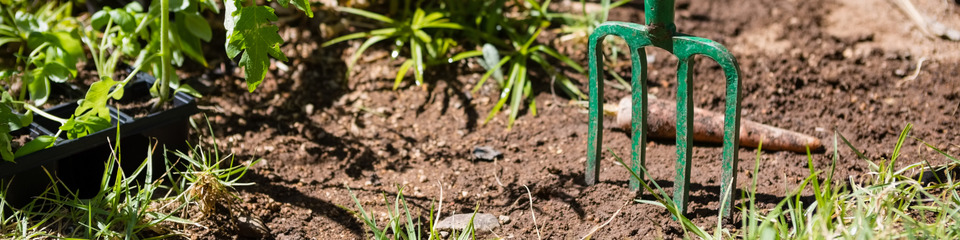 Giardinaggio_websim10