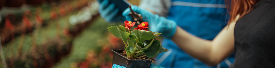 Giardinaggio_websim11