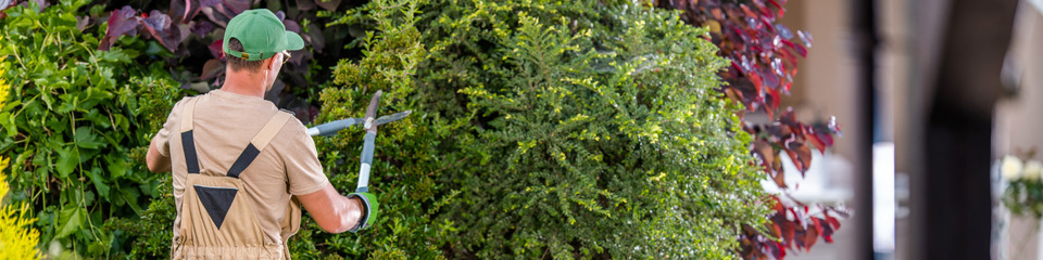 Giardinaggio_websim3