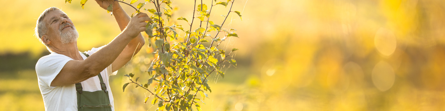 Giardinaggio_websim7