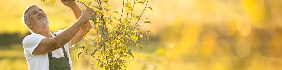 Giardinaggio_websim7