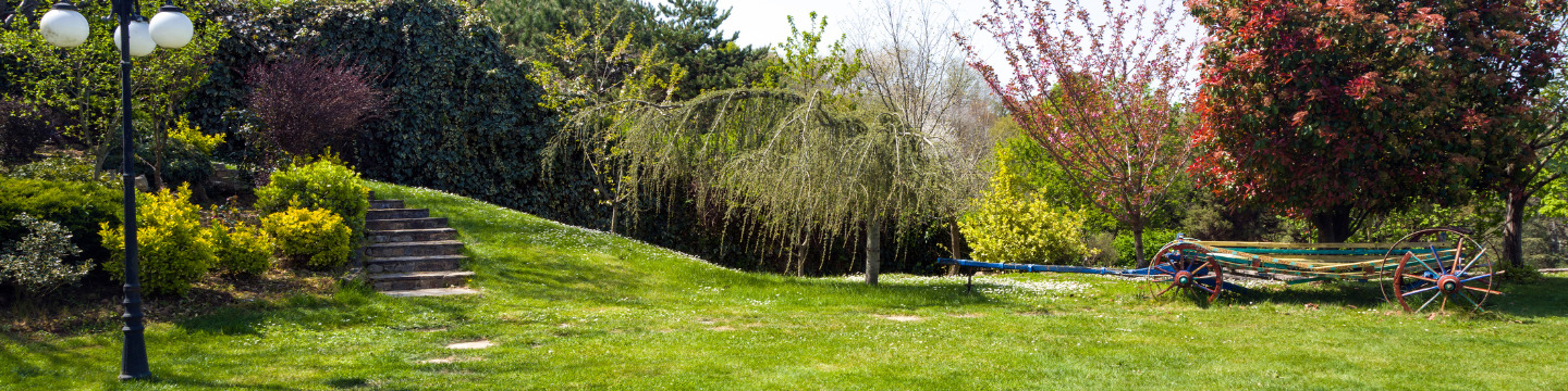 Giardinaggio_websim8