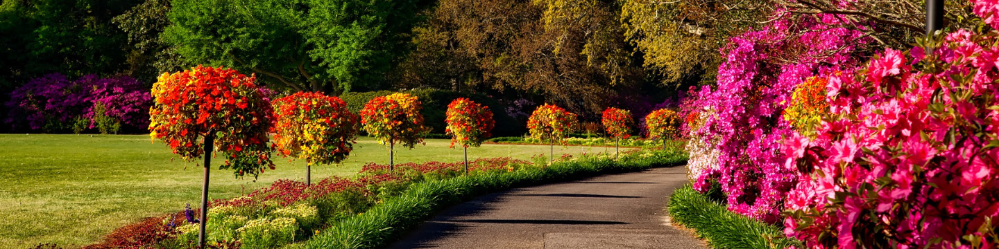 Giardinaggio_websim9 Giardinaggio_websim9