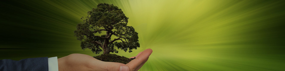 green_websim_14 green_websim_14