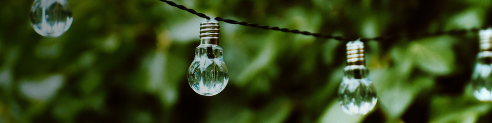 green_websim_15 green_websim_15