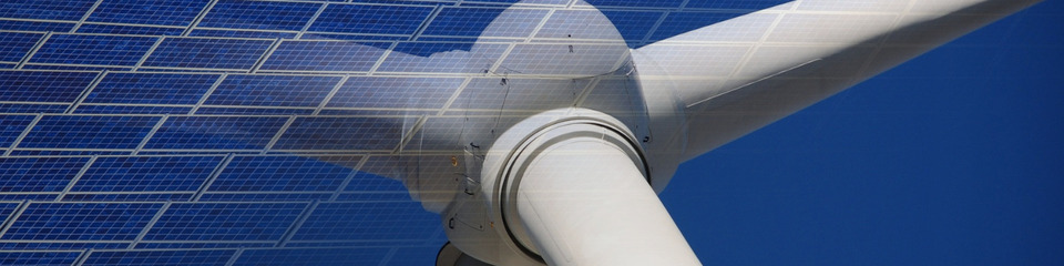 green_websim_19 green_websim_19