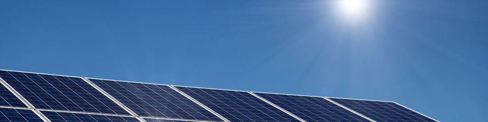 green_websim_7 green_websim_7