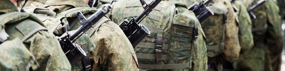 Guerra_websim1 Guerra_websim1