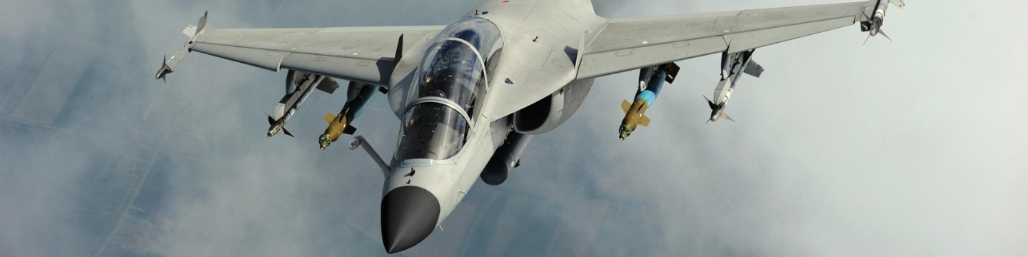 guerra_websim2 guerra_websim2